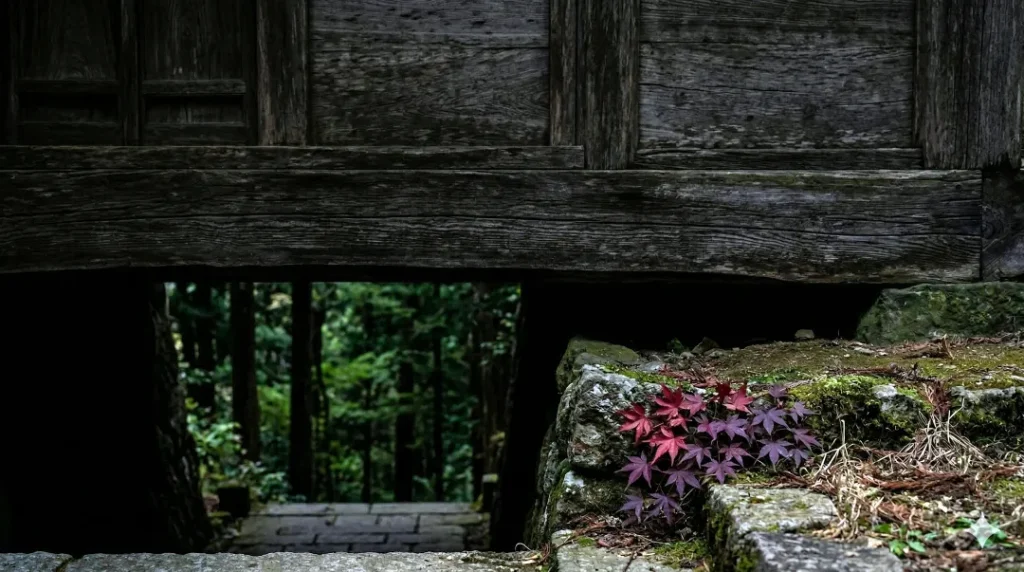 神魂神社の本殿の暗い軒下と、近くの苔むした岩と対照的な赤い紅葉の葉。主祭神イザナミの神話的な死生観（生命と黄泉の国）を象徴する静寂な風景。